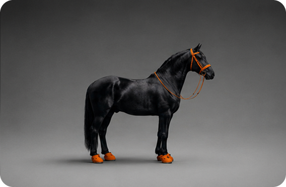 Black horse with orange details